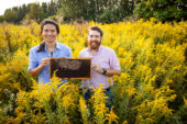 Two researchers in a field holding honey bees