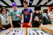 Photo of a group of students standing over a table with an insect collection in boxes, taking photos with their phones.