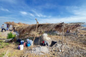 The team excavates ancient Maya mounds under palapas in a maize field.