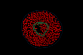 a gif showing molecules in motion