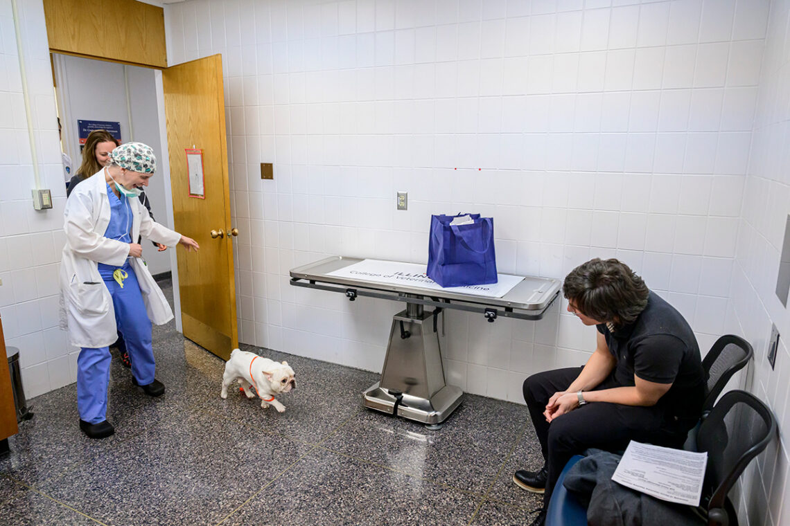 After two-days of recovery in the veterinary clinic, Bento is a new dog, eagerly running in to greet his owner, Bill Rivera, for the first time after surgery.