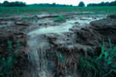 Flooded farm field draining into stream