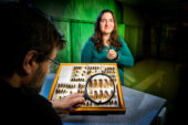 Portrait of Catherine Dana in the laboratory. She is standing behind a display of cicada specimens in a specimen drawer. Her colleague, who is closer to the camera, is using a magnifying glass to magnify a few of the cicada specimens in the drawer.