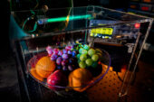 Fresh produce being sanitized in the device