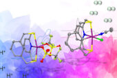 A graphic showing the structure of the nickel-iron hydrogenase enzyme