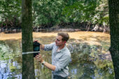 Nicholas Antonson prepares a nest box to accommodate a prothonotary warbler nest.