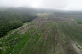 Aerial photo facing east – all the white smudges are ancestral Maya mounds.