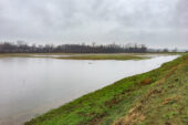 Photo of Mound 14 surrounded by water