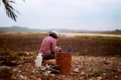 Photo of the researcher seated on a bluff overlooking former jungle and farmlands in Belize.