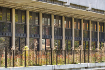 Culture’s pivotal role in effective educational and social assessments – and how related research findings can spark social change – will be the focus of the Center for Culturally Responsive Evaluation and Assessment's 2017 conference. The center is based in the College of Education.