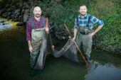 Researchers stand in a stream They are holding onto a large seine.