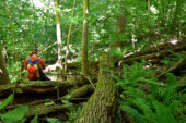 Young woman sits on a fallen tree in the woods.