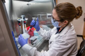 Dr. Robin Holland, a member of the COVID-19 research team for the University of Illinois, Urbana-Champaign, runs tests on saliva samples at the university’s Veterinary Diagnostic Laboratory.