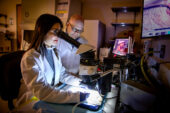 llinois researchers used a suite of imaging methods to create the first holistic picture of peripheral artery disease recovery. Pictured: postdoctoral student Jamila Hedhli and professor Wawrzyniec Dobrucki.