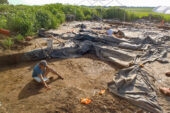 Illinois State Archaeological Survey postdoctoral researcher Rebecca Barzilai maps and collects soil samples from the floor of a religious shrine in Greater Cahokia, an ancient Native American settlement on the Mississippi River in and around present-day St. Louis.