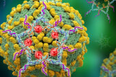 In an artist's rendering, star-shaped DNA binds onto a dengue virus and lights up to detect the virus in a blood test.