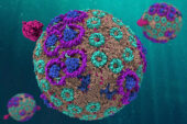 Researchers used supercomputers to construct a 136 million-atom model of the chromatophore, a primitive light-harvesting structure in purple bacteria.
