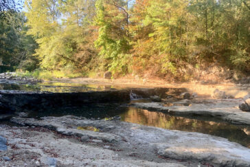 Researchers can learn about the life of a river without seeing the animals that live there.