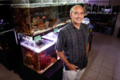 U. of I. psychology professor Justin Rhodes and his colleagues discovered that the male-to-female sex change in anemonefish occurs first in the brain.