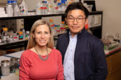 Marni Boppart, Hyun Joon Kong and their colleagues found that injections of pericytes can aid muscle regrowth in mice after disuse atrophy.