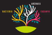 Microbiologist Ralph Wolfe contributed to a study of microbes that led to the discovery of a third superkingdom, or domain, of life: the archaea.