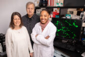 The compounds in frying oils that are repeatedly reheated to high temperatures may trigger cell proliferation and metastases in breast tumors, scientists in food science and human nutrition at the University of Illinois found in a new study of mice. The researchers, from left, food chemistry professor Nicki J. Engeseth, food science professor William G. Helferich and graduate student Ashley Oyirifi.