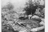 Photos of the carnage from Gettysburg and other Civil War battles shocked many who saw them, but also provided a way to manage grief and trauma, says communication professor Cara Finnegan. At left, dead Confederate soldiers in the "slaughter pen" at the foot of Little Round Top at Gettysburg.