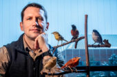 Illinois Natural History Survey avian ecologist Bryan Reiley and his colleagues study how voluntary conservation programs on private lands influence populations of rare birds in Illinois.