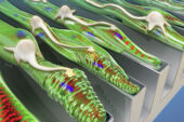 As shown in this artist’s rendering, grooved surfaces help muscle grow into aligned fibers, which provides a track for neurons to follow.
