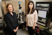 Professor Catherine Christian, left, and graduate student Jiang Li led a study that found that neurons regulating hormone release have different activity in mice with epilepsy, and that those differences fluctuate with the reproductive cycle.