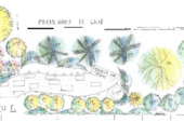 Design plans showing plants, a path and a bench.