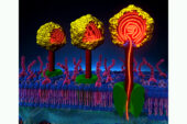 Viruses may inject their DNA into a host cell synchronously or randomly, a new study finds. The difference appears to influence the course of infection.