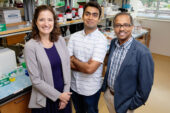 Researchers developed a rapid sensing gel to measure a molecular marker of eye injury in a teardrop. From left: Carle opthamologist Dr. Laura Labriola, Illinois visiting scholar Ketan Dighe and professor Dipanjan Pan.