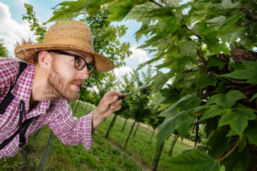 Postdoctoral researcher Mikus Abolins-Abols peers into the nest of an American robin.