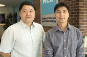 Researchers discovered that an overabundance of the tumor suppressor protein p53 in neurons can lead to impaired regulation of neuronal excitability in a mouse model of Fragile X syndrome.
