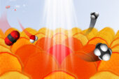 Under the right conditions, gold nanoparticles absorb light and transfer electrons to other reactants. This process can be used to convert CO2 and water into hydrocarbons. In the graphic, carbon atoms are black, oxygen atoms are red and hydrogen atoms are white.