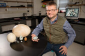 Animal biology professor Mark Hauber studies many species of brood parasites, which lay their eggs in the nests of other birds.
