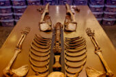 Graduate student Matthew Go aims to broaden the understanding of Filipino skeletal variation, an effort that will enhance efforts to identify human remains.