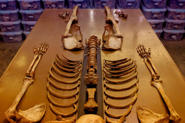 Graduate student Matthew Go aims to broaden the understanding of Filipino skeletal variation, an effort that will enhance efforts to identify human remains.