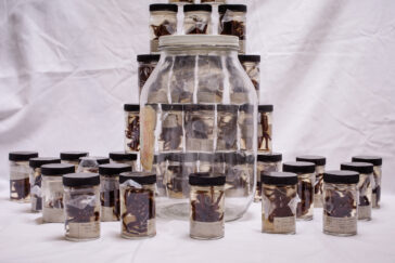 All the tarantulas shown here once shared a single pickle jar. They were meticulously separated and relabeled, and now are in proper storage.