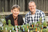 Animal biology professor Ken Paige (left) and postdoctoral fellow Daniel Scholes found that a plant's ability to duplicate its genome within individual cells influences its ability to regenerate.
