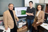 Illinois professor Kyekyoon "Kevin" Kim, graduate student Benjamin Lew and research scientist Hyungsoo Choi developed a method to make it easier to transplant pancreatic islet cells from pigs to treat type I diabetes.