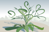Like a Hydra, some plants grow bigger and boost their chemical defenses after being clipped.