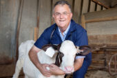 In a new study of more than 1,400 critically ill calves with diarrhea, Peter D. Constable and his colleagues found that clinical signs of disease were better predictors of mortality than the laboratory data that clinicians have relied upon historically. Constable is the dean of the College of Veterinary Medicine at the University of Illinois.
