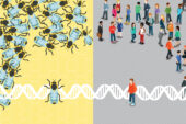 Socially unresponsive bees share something fundamental with autistic humans, new research finds.