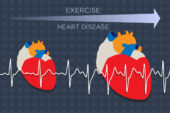The heart enlarges in response to growing demands from exercise or heart disease. A new study identifies a key molecular player in this process.