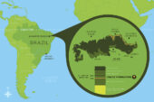 The fossil was uncovered in the Araripe Basin, in northeast Brazil, in a limestone layer called the Crato Formation.