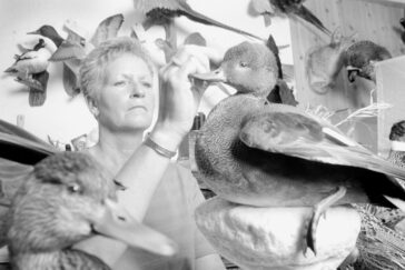 Penny McKinney is a facility attendant at the Varsity Room in Memorial Stadium. She started out as a dishwasher 27 years ago and then worked as a cook. In her current role, she orders and stores the food and keeps the Varsity Room clean and in good order.