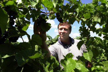 Stephen Menke is an enology specialist in the food science department and the state enologist for the Illinois Grape and Wine Resource Council. Enology is the study of wines and winemaking. plants and fields.