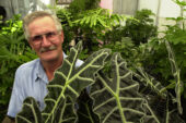 Mick Zindars is a groundsworker for the Division of Operation and Maintenance. He is assigned to the greenhouse, attached to the Horticulture Field Lab at 1707 S. Orchard St., Urbana. He's been at the UI for 13 years and in the greenhouse for about five years. He and his wife, Marilyn, live in Armstrong and have three grown children and four grandchildren.
